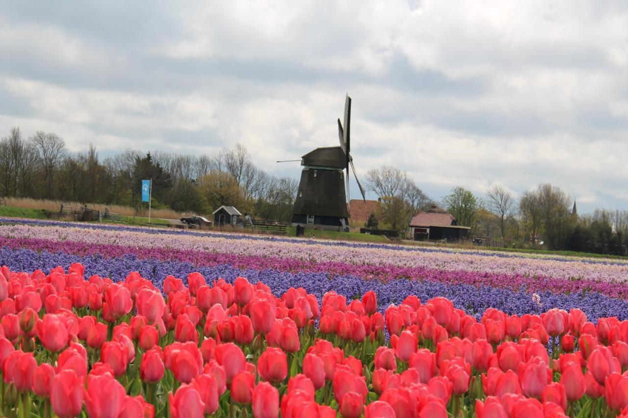Vogelvrij, Vakantie Woning Met Landelijk Uitzicht En Geheel Omheinde Tuin Burgerbrug Exterior foto